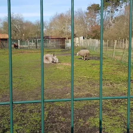 D'hotes Entre-deux Lacs