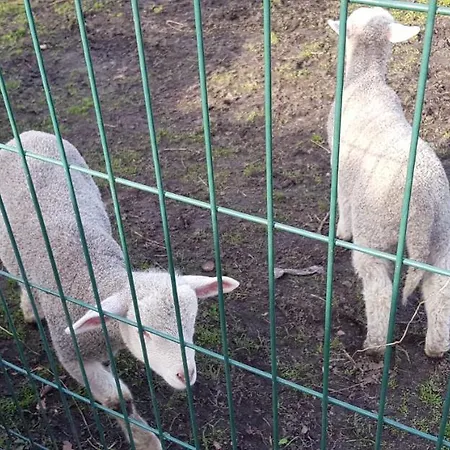 Frühstückspension D'hotes Entre-deux Lacs 3*