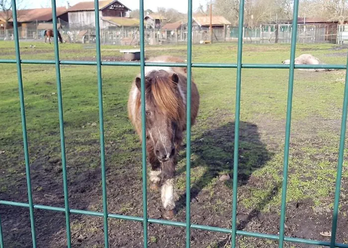 Bed & Breakfast D'hotes Entre-deux Lacs 3*