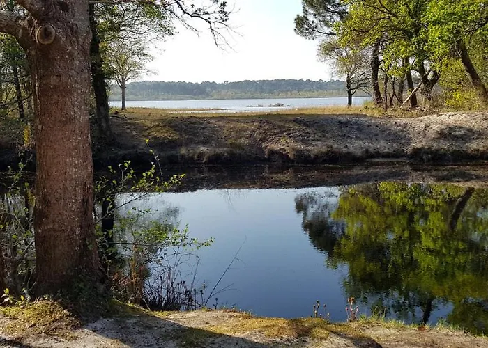 Bed & Breakfast D'hotes Entre-deux Lacs Biscarrosse