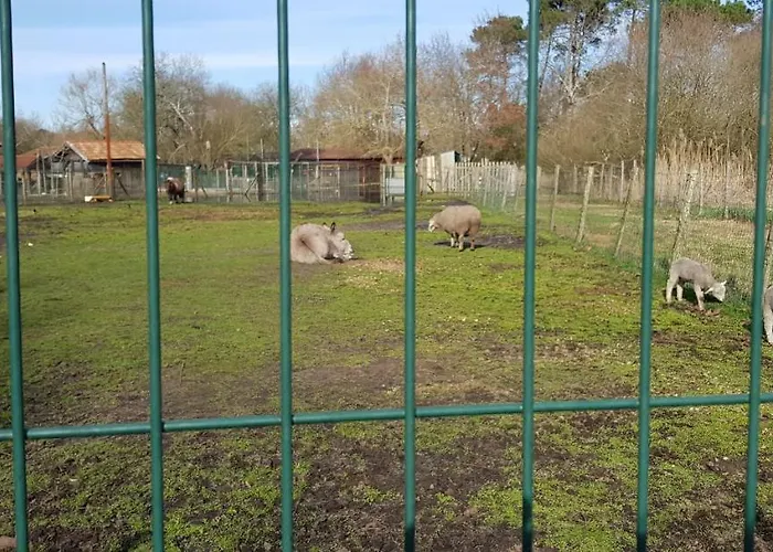 D'hotes Entre-deux Lacs