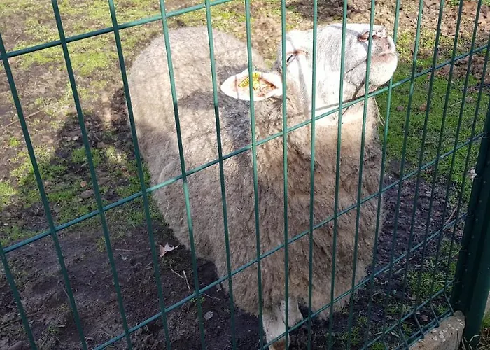 D'hotes Entre-deux Lacs Biscarrosse