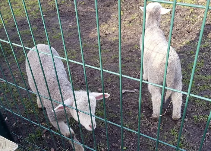 Bed & Breakfast D'hotes Entre-deux Lacs 3*